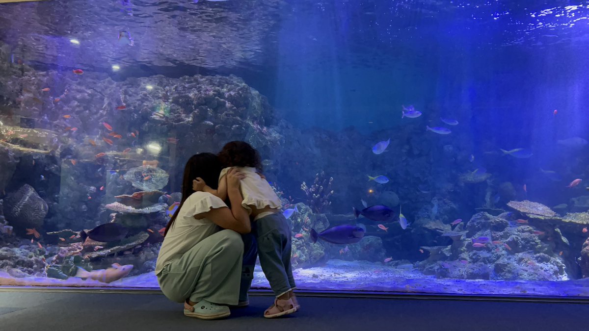 sktymO2I7's tweet image. ※貸切ではないですww