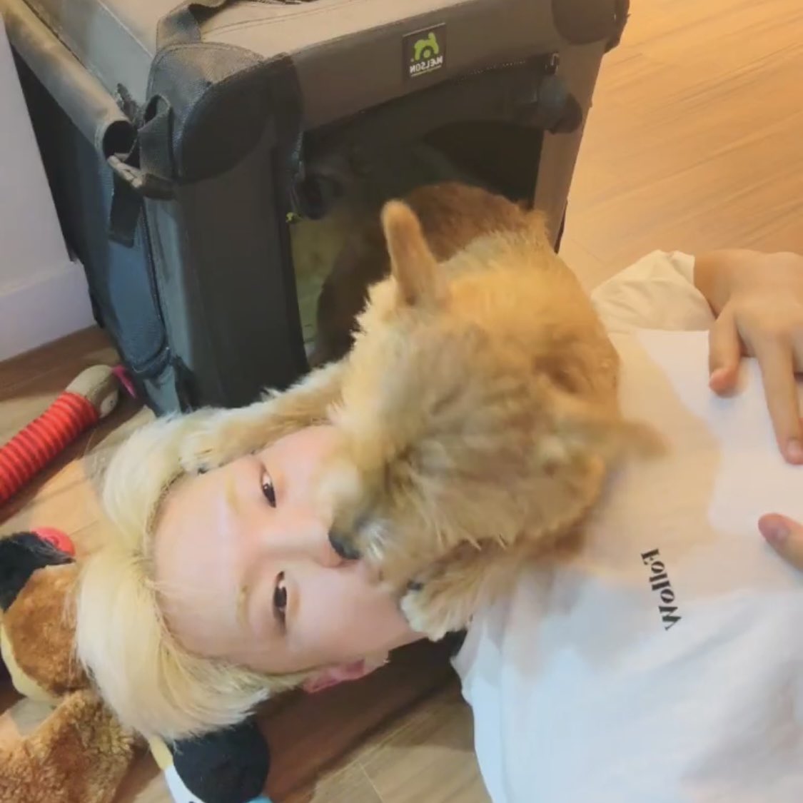 @: 라떼 야식은 순영이야? 라는 댓이 진짜 웃겻음 ..