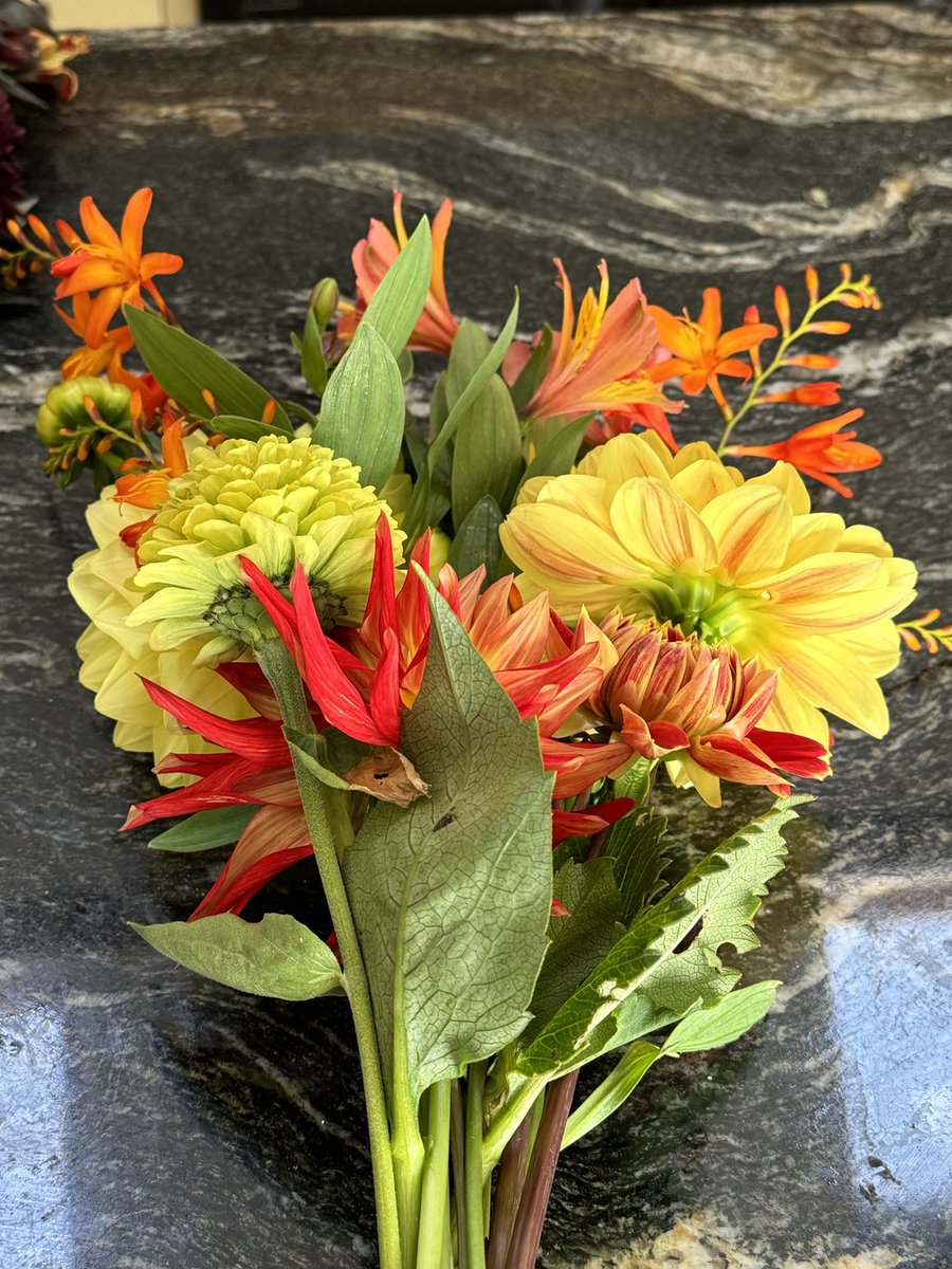 Catherine Neden tweet media