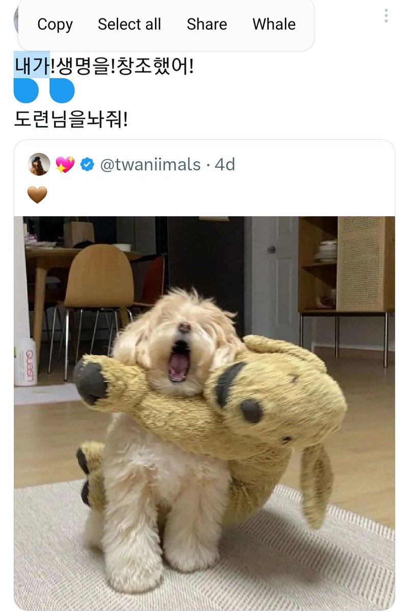 mallangees's tweet photo. 개랑켄슈타인 https://t.co/MyyCuuf5HR
