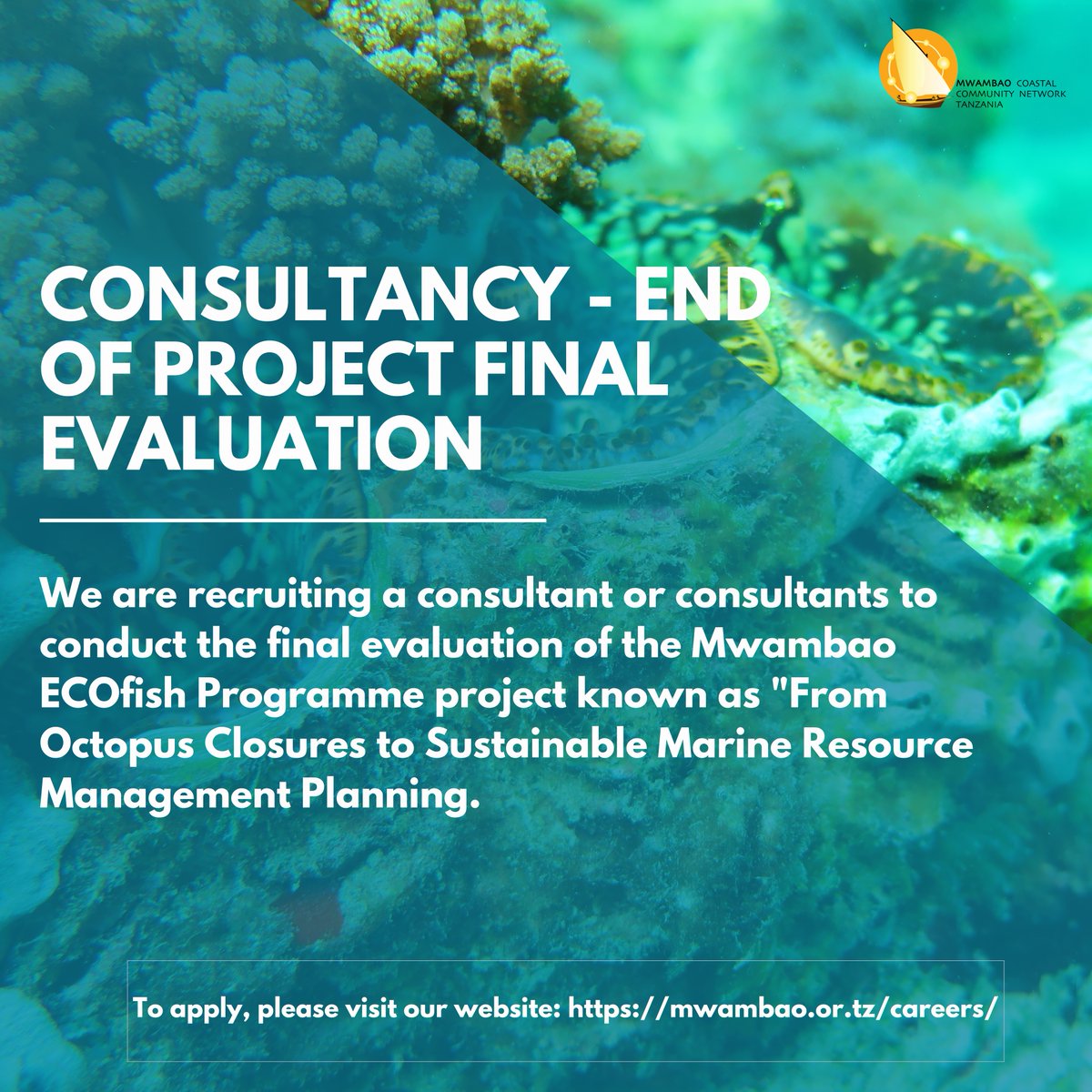 We are recruiting a consultant or consultants to conduct the final evaluation of the Mwambao ECOfish Programme.

To apply, please visit our careers page: mwambao.or.tz/careers/