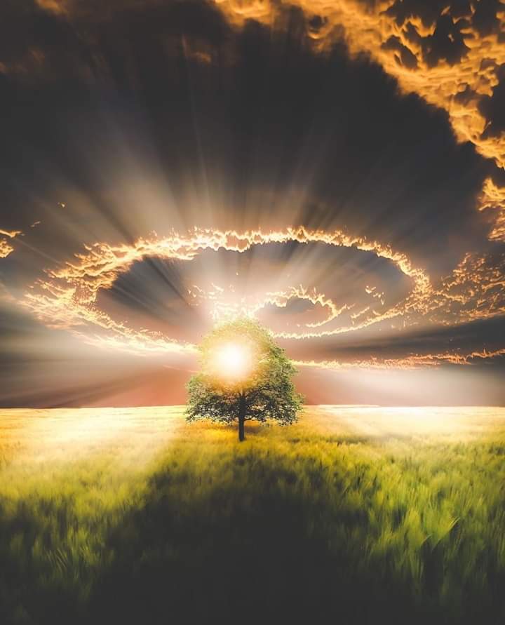 ToddTreharne's tweet photo. " Everyday a million miracles begin at sunrise "
#ThinkBIGSundayWithMarsha 
#sundayvibes #sundayvibe https://t.co/dK9d6aGQiU