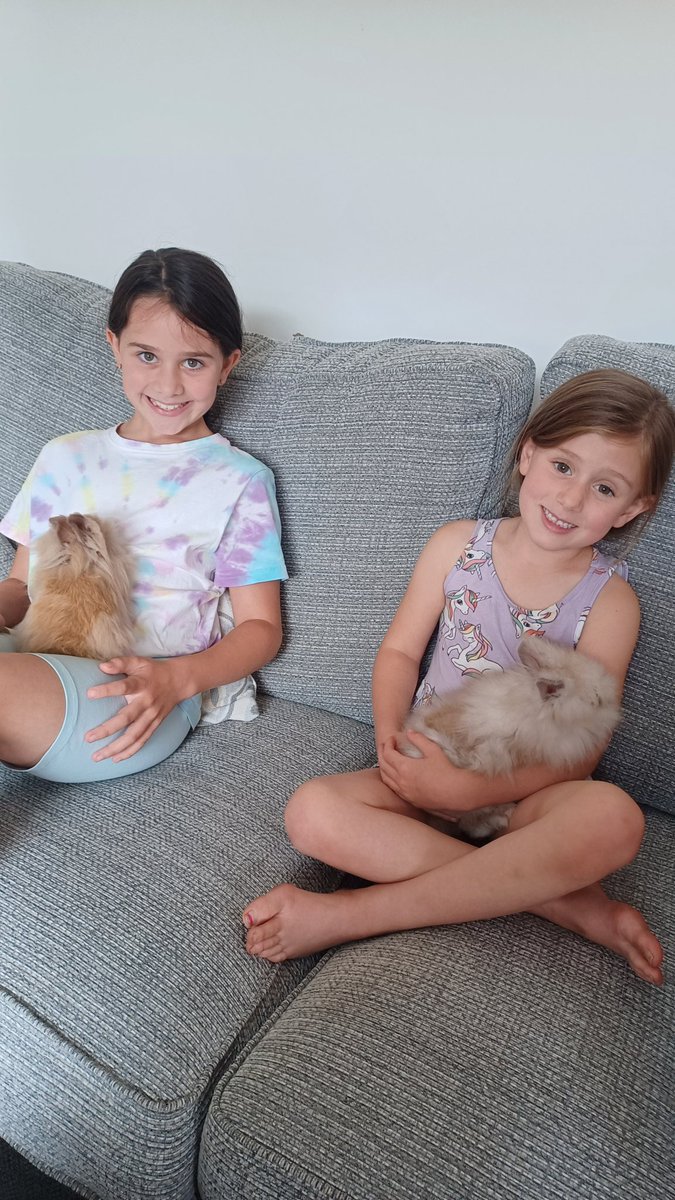 Meet Cookie and Waffle our newest, fluffiest editions to our family 🐰🐰

<a href="/GraemeBrownlfc/">GB</a> xx