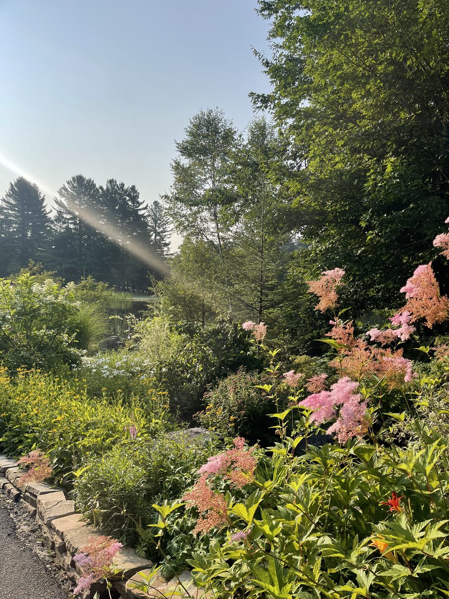MariamAboian's tweet photo. How do I get back? #runningbywater 🥰 and some good Taylor Swift 🤪🤩 #LakePlacid #olympics #academicmomlife #zest #wegetup https://t.co/qLYXoSAdjV