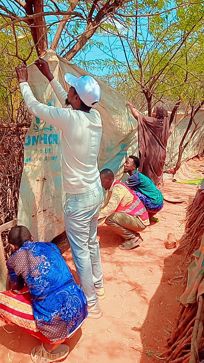 Will Ruddick tweet media