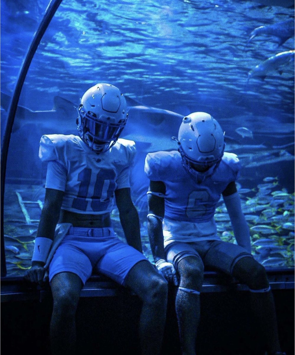 Marcus Moody tweet media