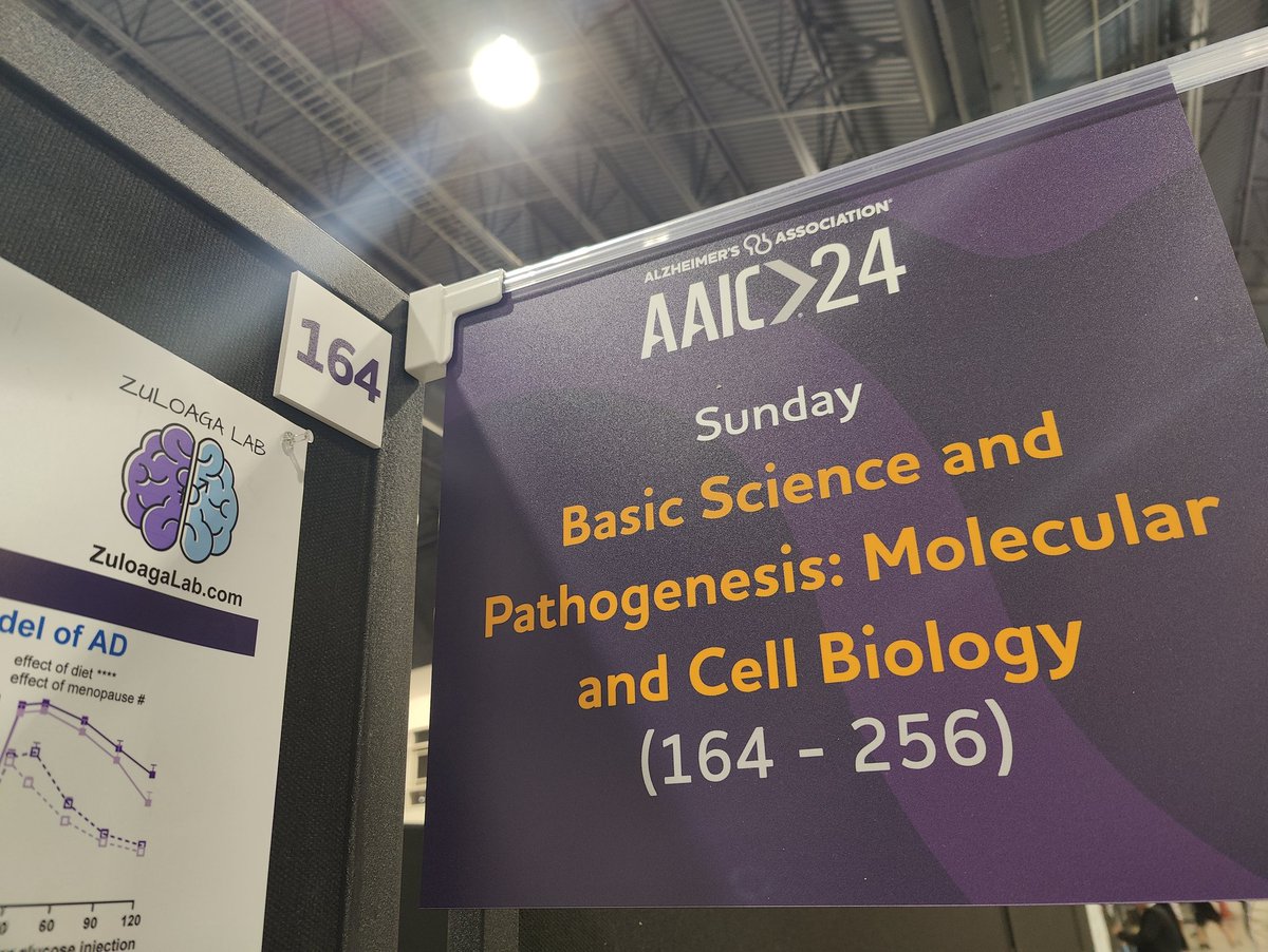 AG.Charly (@ag_charlz) on Twitter photo Poster up and ready for #AAIC24! Come see me today at poster 164 to chat about how #menopause and #metabolicdisease affect #Alzheimers disease in preclinical models. Work done in the <a href="/Zuloaga_Lab/">Dr. Kristen Zuloaga</a> at <a href="/AlbanyMed/">Albany Med Health System</a>. Funded by <a href="/NIH/">NIH</a> <a href="/alzassociation/">Alzheimer's Association</a> <a href="/_BrightFocus/">BrightFocus Foundation</a> travel by <a href="/The_CCAD/">CCAD</a> Poster up and ready for #AAIC24! Come see me today at poster 164 to chat about how #menopause and #metabolicdisease affect #Alzheimers disease in preclinical models. Work done in the <a href="/Zuloaga_Lab/">Dr. Kristen Zuloaga</a> at <a href="/AlbanyMed/">Albany Med Health System</a>. Funded by <a href="/NIH/">NIH</a> <a href="/alzassociation/">Alzheimer's Association</a> <a href="/_BrightFocus/">BrightFocus Foundation</a> travel by <a href="/The_CCAD/">CCAD</a>