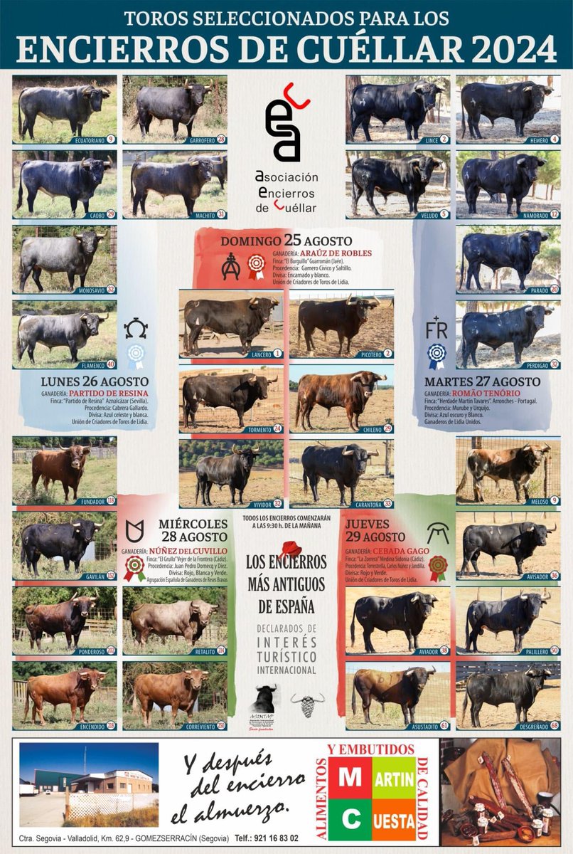 Cartel Ganado Bravo de los Encierros de Cuéllar 2024