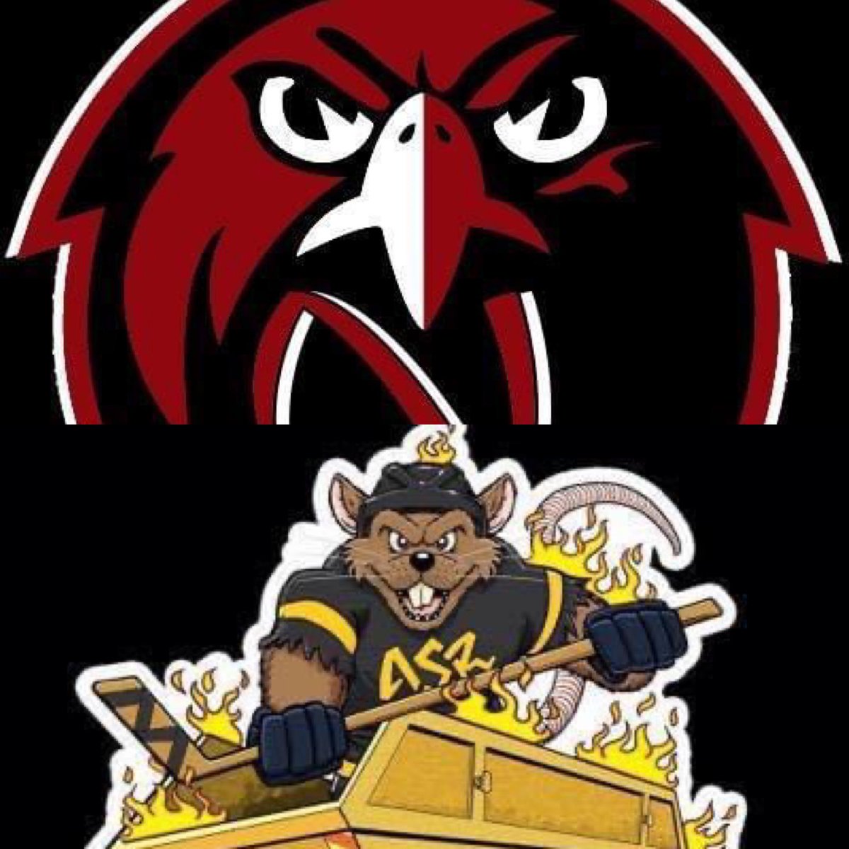 GAME 5:

🦅 5 - 2 🐀

#Tier3 #ballhockeyuk