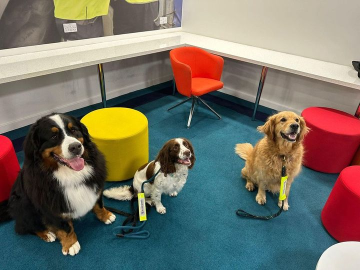 TherapetC's tweet photo. In Aberdeenshire: A ๐๐ก๐๐ซ๐๐ฉ๐๐ญยฎ trio of ๐๐๐๐ซ, ๐๐๐ซ๐ซ๐ฒ and ๐๐๐ญ๐ฌ๐จ๐ง who are part of the "๐ฏ๐๐๐๐๐๐๐ ๐ช๐๐๐" visited ๐ฉ๐๐๐๐๐๐๐ to help cheer up some workers going offshore..๐พ๐๐พ
@TherapetC @CanineConcern @Burnspet @VolunteerScot #helipets https://t.co/4tP2Ag7Qhx