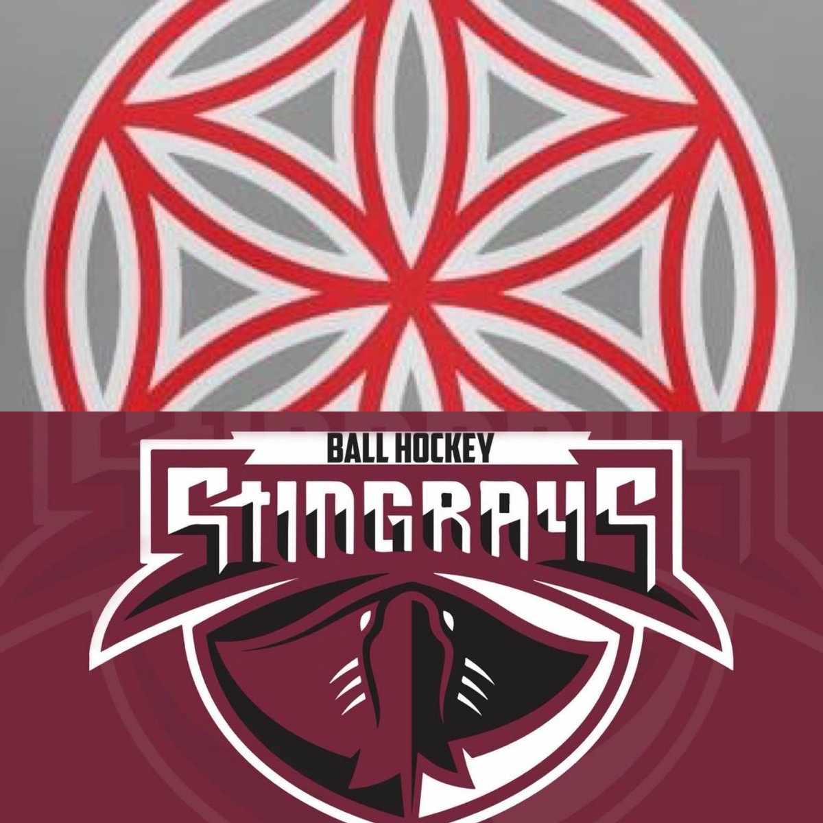 GAME 6:

⭐️ 9 - 1 🐠

#Tier3 #ballhockeyuk