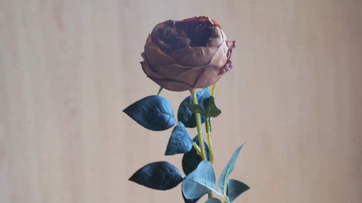 ꒰ ⁺🌿⋆ °˖✧🫧 ₊˚ᴄʜᴇɴᴢʜᴀᴏ 🩵💜 tweet media
