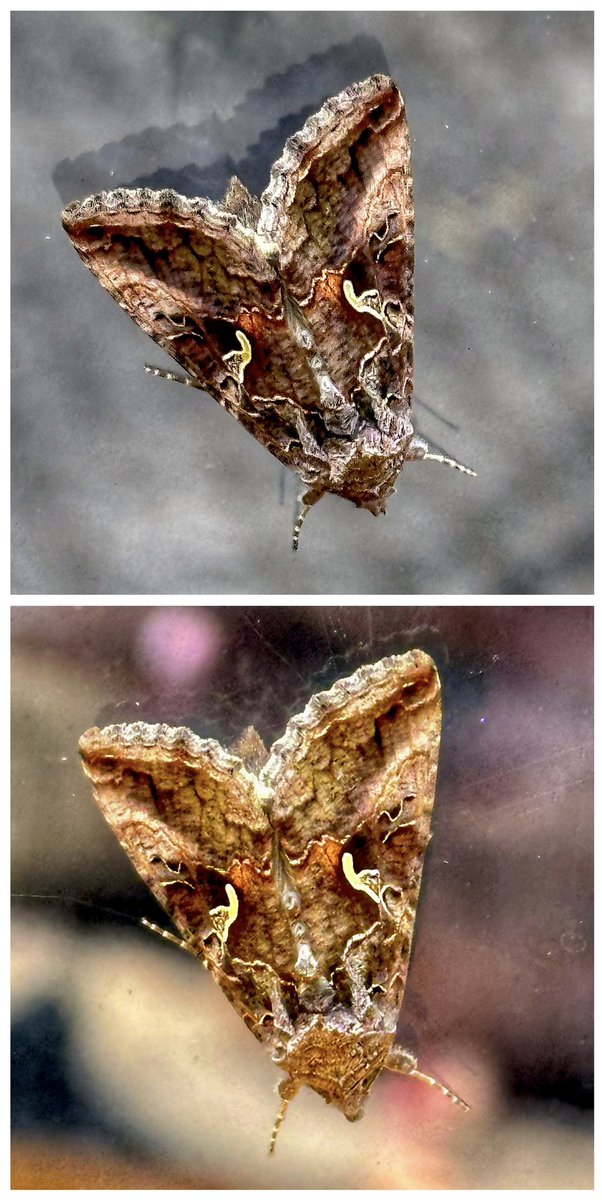 Toby Wood tweet media