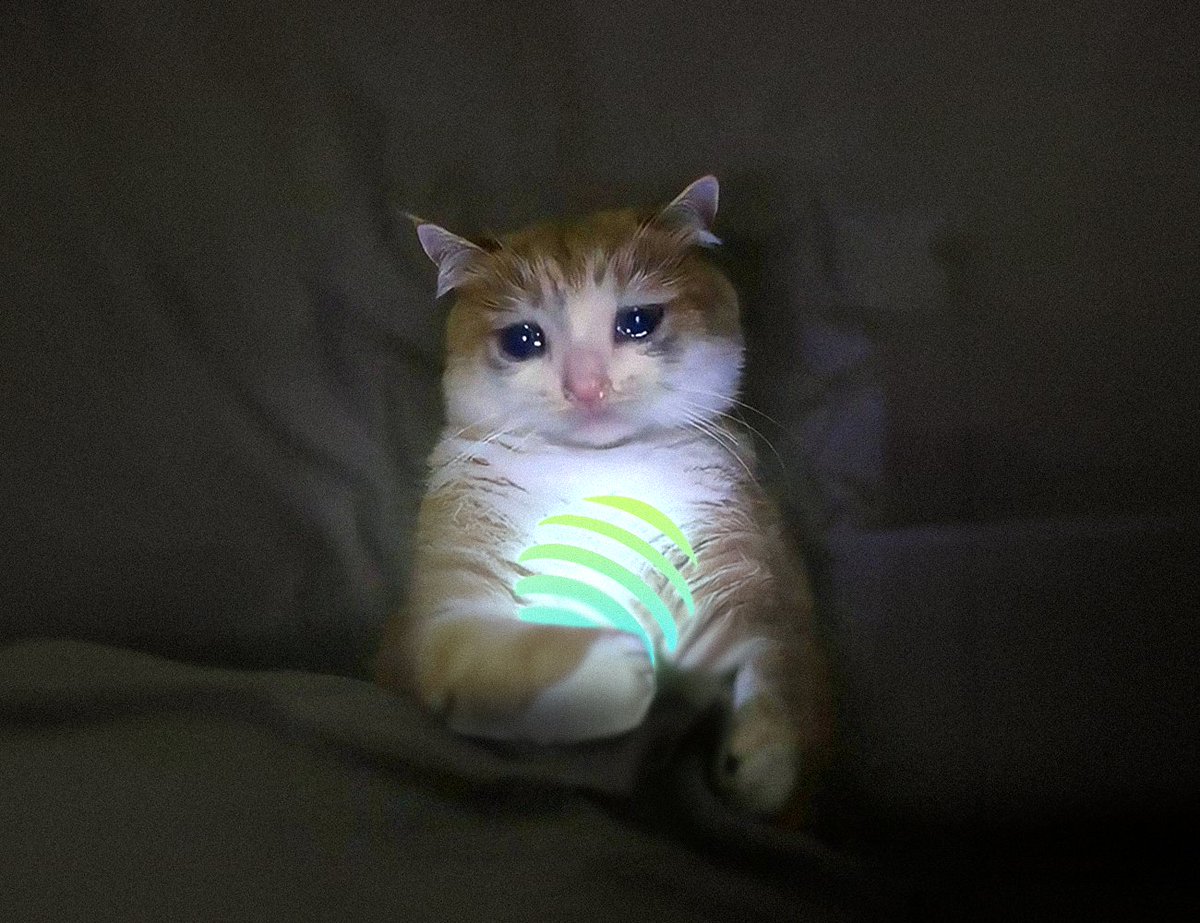 hey <a href="/JupiterExchange/">Jupiter</a> please hmu
i wanna be added to your strict list.

CA: 6fnYdoJhYkifvt52pfNtUDr31ZYXmof7JiL9SFrMpump