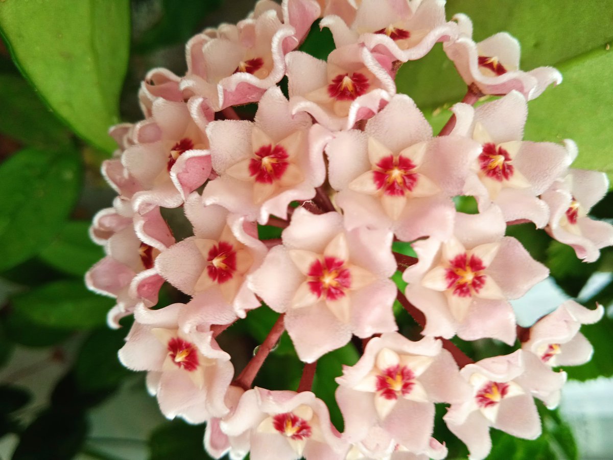 Xalid bezhan2 tweet media