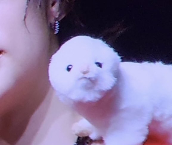 ㅁㅊ거 아냐? 똑같이 생긴 둘이 이쪽을 쳐다보고 있잖아!!!!!!!!