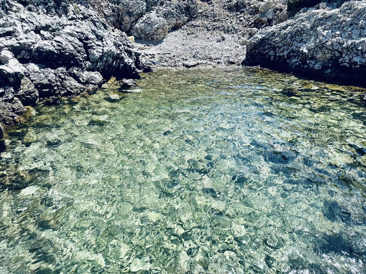 miha_simnovec's tweet image. Our private beach … 🙂 🏝️🏊‍♂️🥽🌊🙂

#dopust #vacation #Osor #Cres #Lošinj #NoStressOnCres #plaža #beach #strand #ranta #spiaggia #sea #meri #luonto #meer #morje #mare #nature #luonto #loma #ferien #Adriatico #Croatia #Kroatien #Hrvatska #Hrvaška