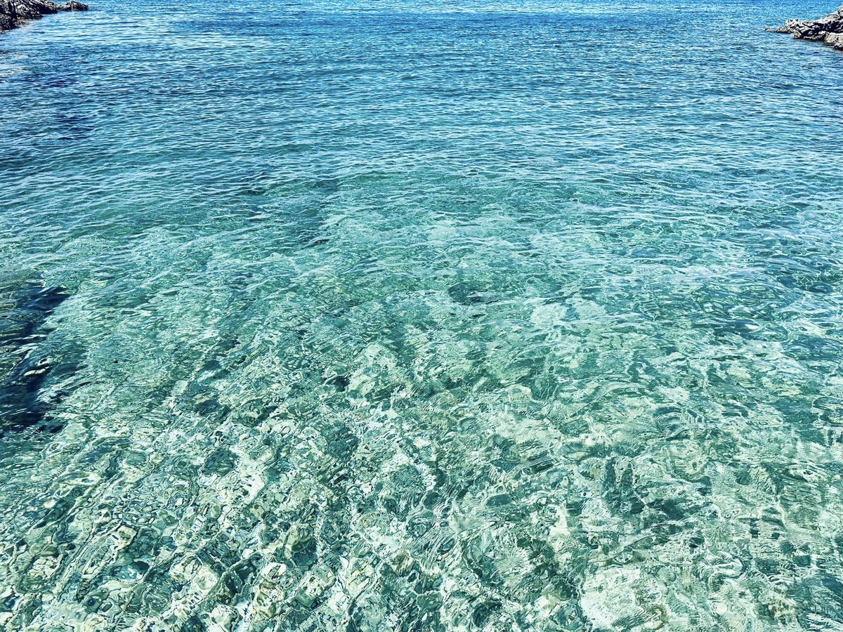 miha_simnovec's tweet image. Our private beach … 🙂 🏝️🏊‍♂️🥽🌊🙂

#dopust #vacation #Osor #Cres #Lošinj #NoStressOnCres #plaža #beach #strand #ranta #spiaggia #sea #meri #luonto #meer #morje #mare #nature #luonto #loma #ferien #Adriatico #Croatia #Kroatien #Hrvatska #Hrvaška
