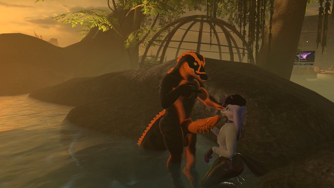 What are you doing in my swamp!!!! https://t.co/HYKRLq10wm