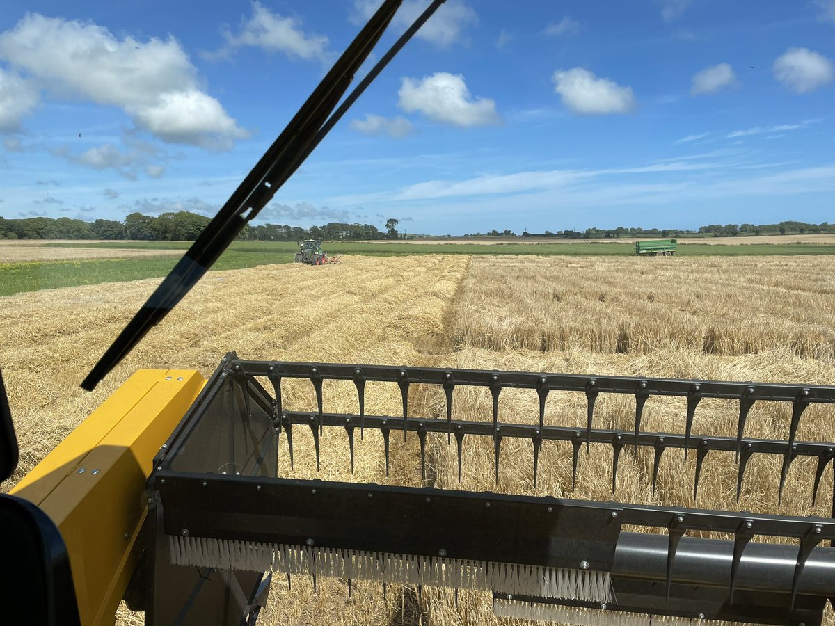 A gorgeous day at Shanagarry for the maiden voyage of the <a href="/Goldcrop/">Goldcrop</a> new Sampo trials harvester. A very big investment for Goldcrop and a commitment to the future of Irish tillage farming. Here’s hoping that it’ll uncover as many great varieties as the old Deutz did!  🇮🇪 🌞🌾