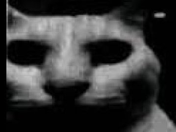 i am speechless

i have no words

how in the fuck is that even possible once let alone 3 FUCKING TIMESSSSSSSSSSSSSSSSSSSSSSSSS