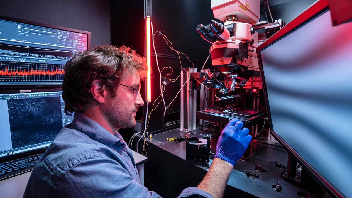 New podcast: <a href="/AllenInstitute/">Allen Institute</a> neuroscientist <a href="/LecoqJerome/">Jérôme Lecoq</a> talks about the brain research center's #OpenScope program, a research project that focuses on what magic mushrooms do to brain cells, and a novel "brainstorming" experiment: open.spotify.com/episode/7q71WB…