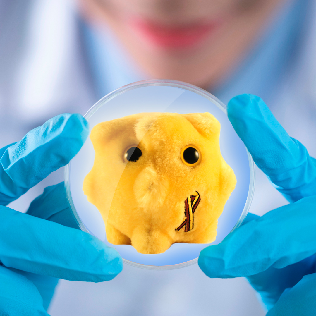 Did you know there are 7 types of hepatitis? 🤯 HAV, HBV, HCV, HDV, HEV, HFV, &amp; HGV! Each is different. 
Let's raise awareness for #WorldHepatitisDay! 
Shop Hepatitis here: giantmicrobes.com/us/products/he… 
#HepatitisAwareness #GIANTmicrobes #publichealth #vaccines #biology #microbiology