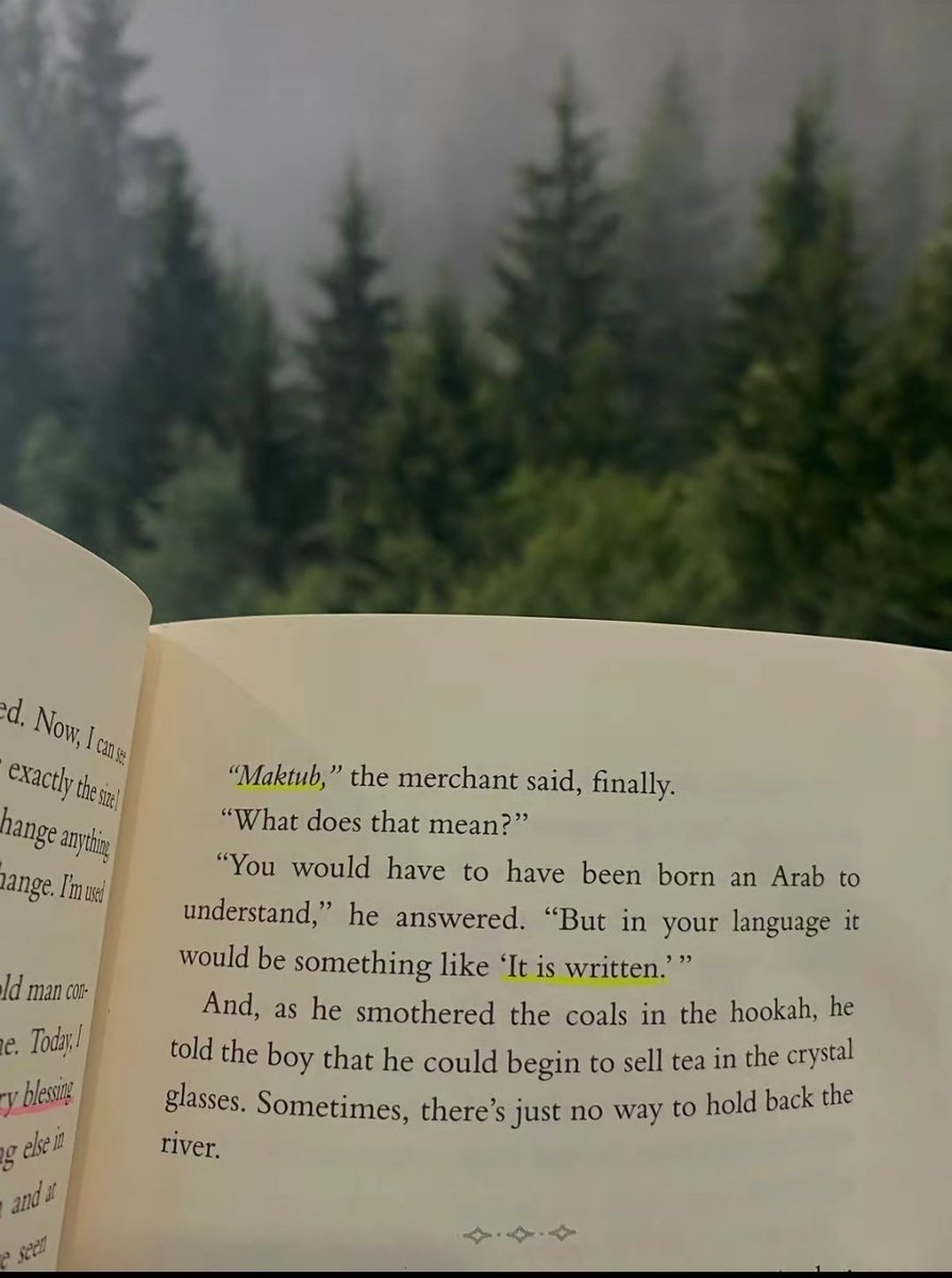 Dɩʑʑƴ_Iʀʀɘsɩstɩɓɭɘ tweet media