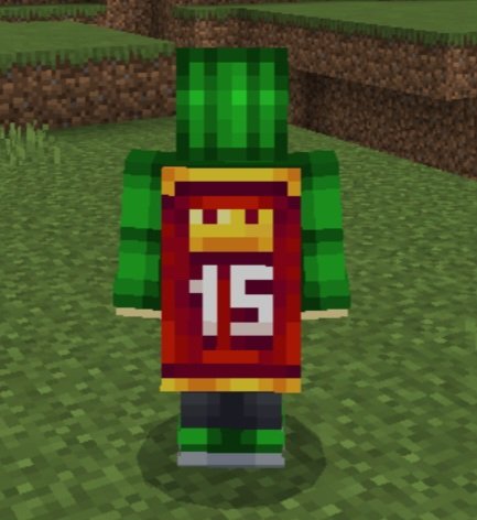 I finally have the new minecraft Cape, the MC Championship!!