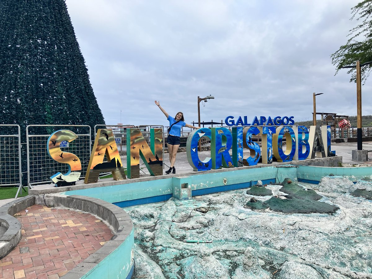 Daniela Delphus tweet media