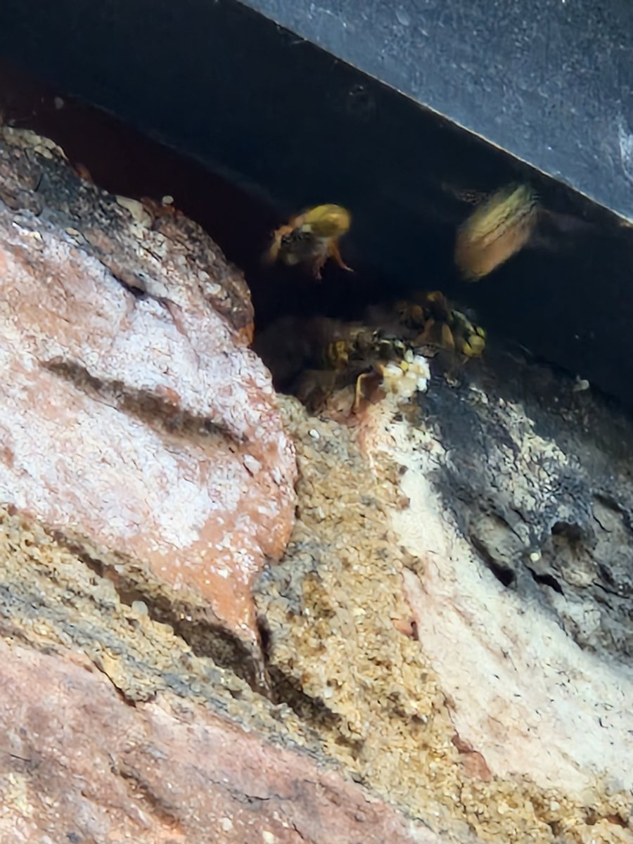 Tim Hatton tweet media