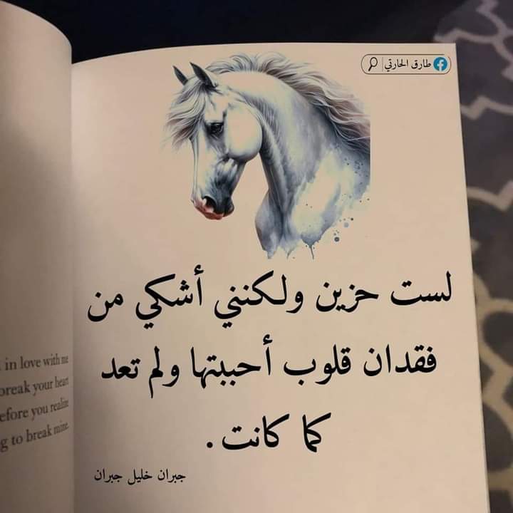 المهاجر ،🥀🌹🥀🌺 (@mydwww12228) on Twitter photo 