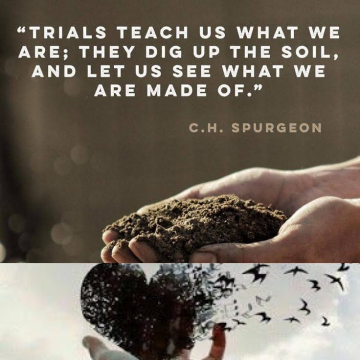 Prayer is the gate to heaven