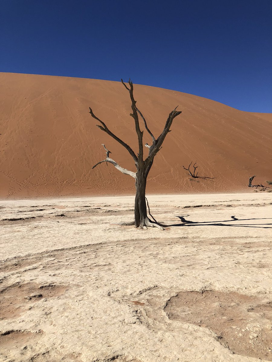 David Brown tweet media