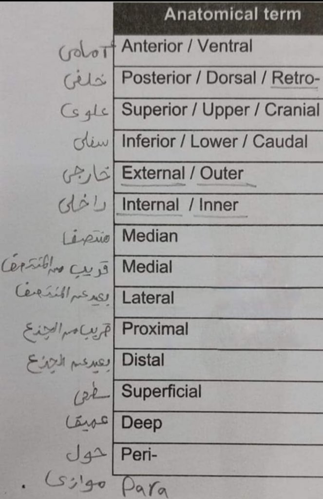مُنيرة tweet media