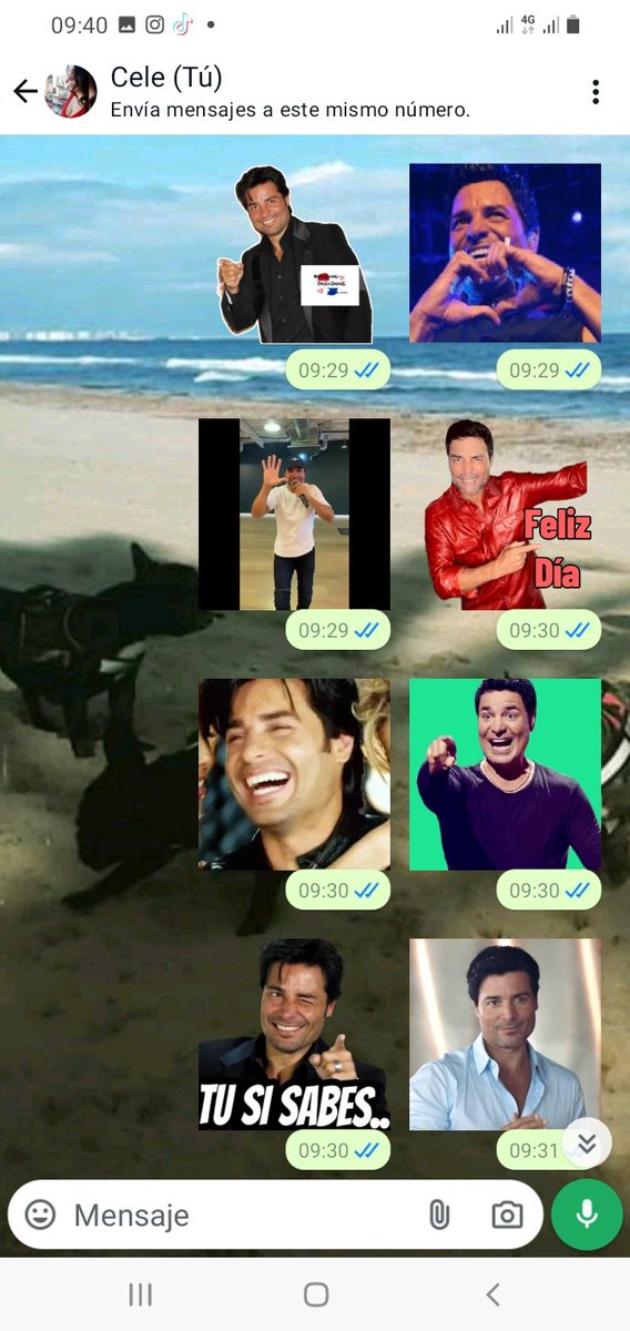 CelePy's tweet photo. @CHAYANNEMUSIC Tenemos muchos 🥰 @RohayhuChayanne https://t.co/DpQoY3f3jI