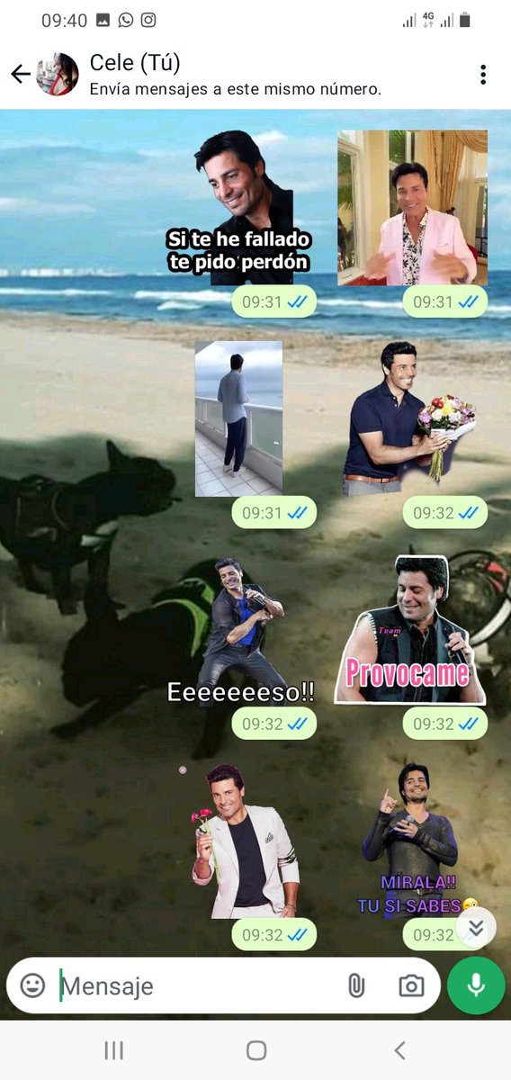 CelePy's tweet photo. @CHAYANNEMUSIC Tenemos muchos 🥰 @RohayhuChayanne https://t.co/DpQoY3f3jI