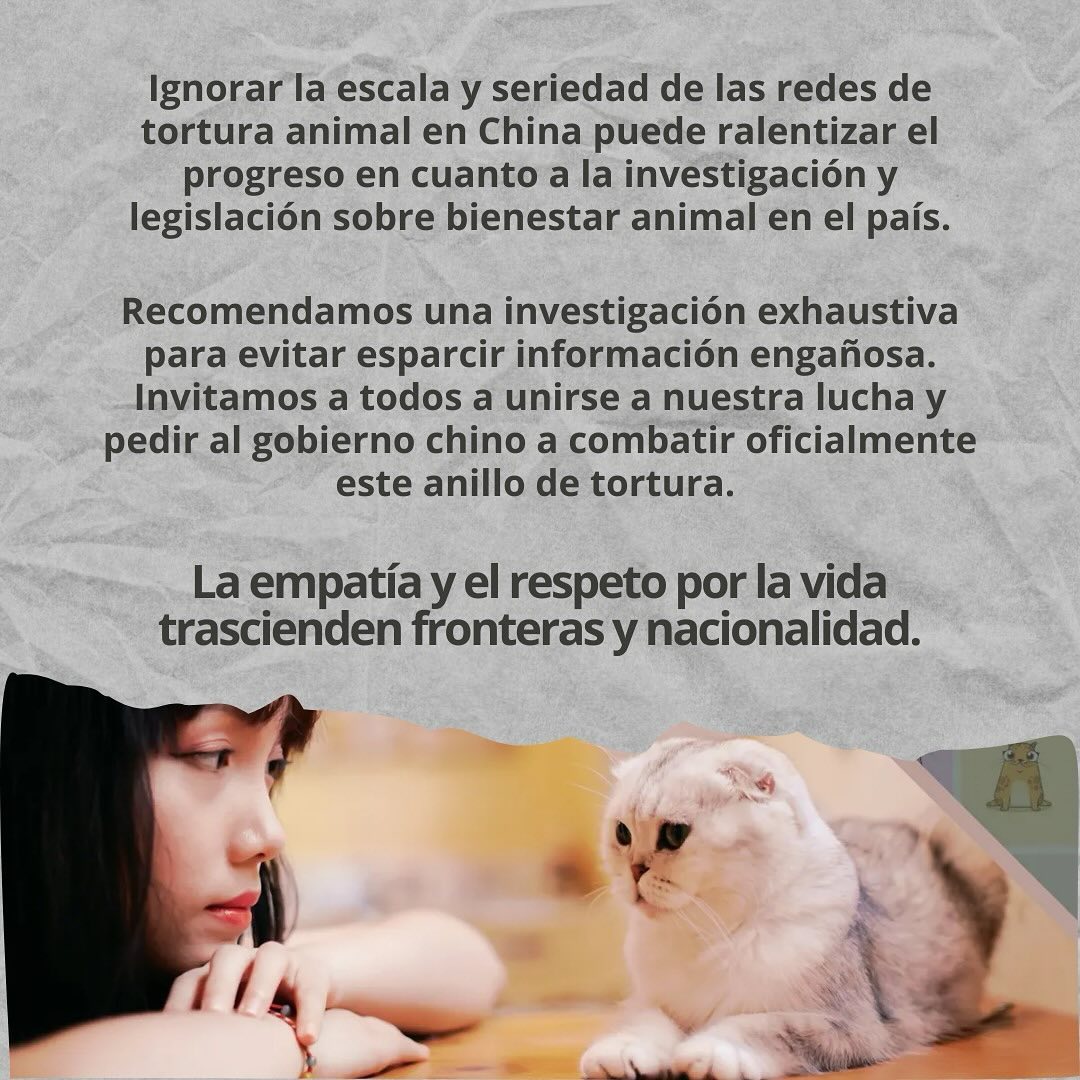 Alejo_23Esp's tweet photo. The three articles produced by the @EmbChinaMex in #Mexico demonstrate their desperation to clean up the image of #China regarding torture, animal slaughter, and animal abuse, especially since there is no law against animal cruelty.

We demand that the media outlets responsible for this article, written in complete ignorance, respond to our letters where we expose the truth behind
 "Message from a Cat, My Comfortable Life in China."
