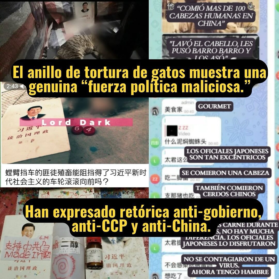 Alejo_23Esp's tweet photo. The three articles produced by the @EmbChinaMex in #Mexico demonstrate their desperation to clean up the image of #China regarding torture, animal slaughter, and animal abuse, especially since there is no law against animal cruelty.

We demand that the media outlets responsible for this article, written in complete ignorance, respond to our letters where we expose the truth behind
 "Message from a Cat, My Comfortable Life in China."