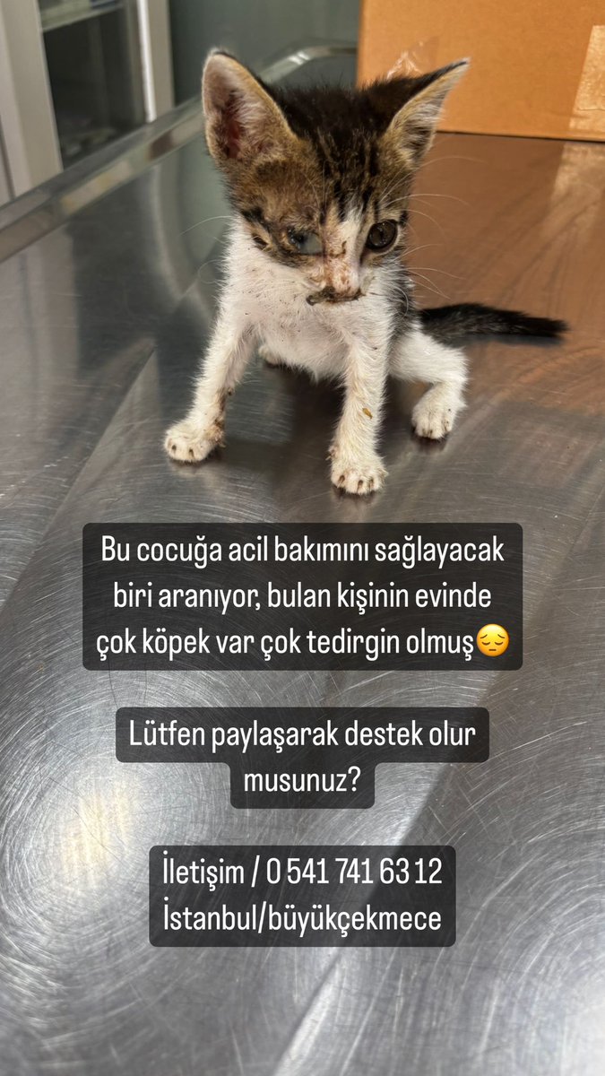 Lütfen paylasır mısınız