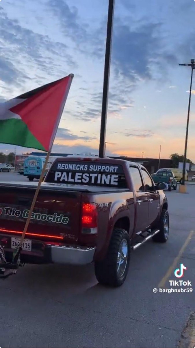 ❤️🇵🇸