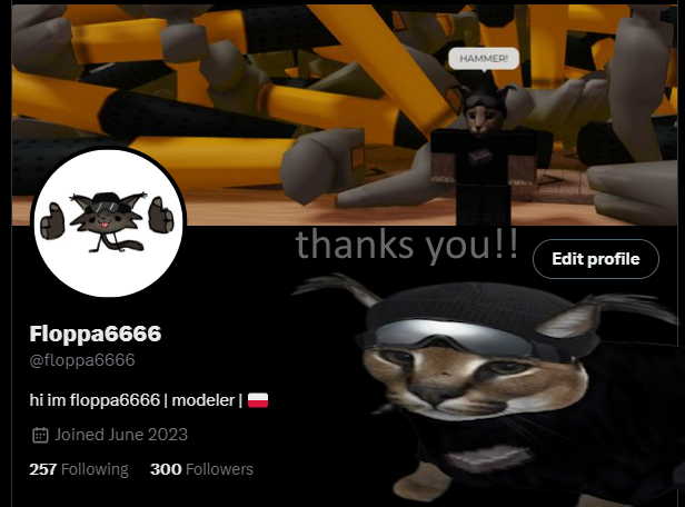 tysm for 300 followers