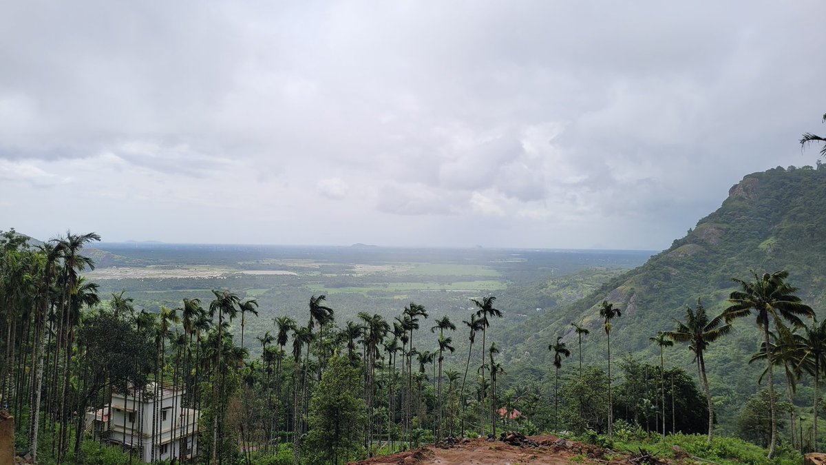 Rtr_Muthukumar's tweet photo. So far the best monsoon day in Tenkasi Dist! Rain has reached till Sankarankovil - 30kms away from Pothigai foothills.
#SouthWestMonsoon #SWM #Rain #TamilnaduRains #Tenkasi #Courtallam #Pothigai #Saaral https://t.co/qdjsaKh0zc