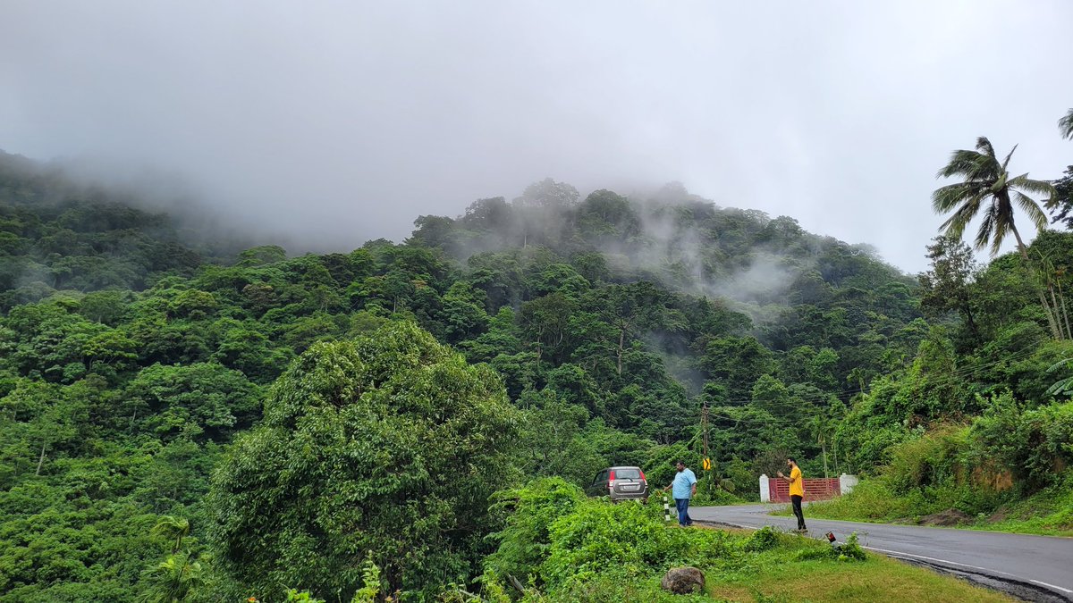 Rtr_Muthukumar's tweet photo. So far the best monsoon day in Tenkasi Dist! Rain has reached till Sankarankovil - 30kms away from Pothigai foothills.
#SouthWestMonsoon #SWM #Rain #TamilnaduRains #Tenkasi #Courtallam #Pothigai #Saaral https://t.co/qdjsaKh0zc