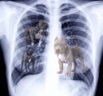 SheefuF1's tweet photo. @jarno_opmeer Real x-ray scan of piastri: https://t.co/s3BSXt45AF