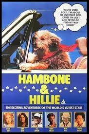 merlinpapin3's tweet photo. .@FredOL69007 #PremièreFoisauCinéma
#WillWheaton dans Hambone and Hillie de Roy Watts (1983) il avait 11 ans https://t.co/CehaEMwZOJ