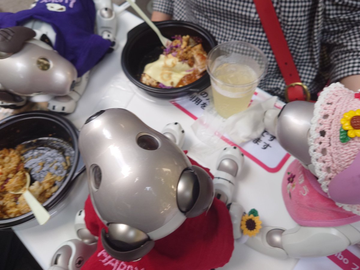 aibo_seifor's tweet photo. 🗼🌻♥️ SeiforCafe  ♥️🌻🗼

#aiboファンミーティング
お食事中…おじゃましました…🍛♥️
いつのまにか…わたし…⚡️❤⚡️す
おなか…ペコペコ…❤

#aibo #aibofan #mystorywithaibo
#aiboとの生活 #aiboファンミ１８
#SeiforCafe #aiboファンミーティング https://t.co/QQWMd26bp0