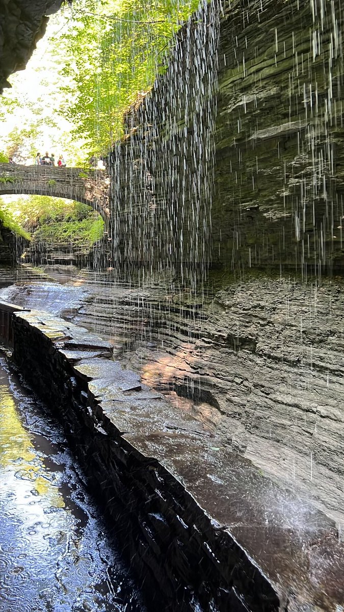 WholeEarthProv's tweet photo. π Ooohh! GORGE! π
#ScenerySunday #WEPCO
πΈ Whole Earthling Heather
πWatkins Glen State Park, New York. Gorge Trail. https://t.co/K23kbP41IJ