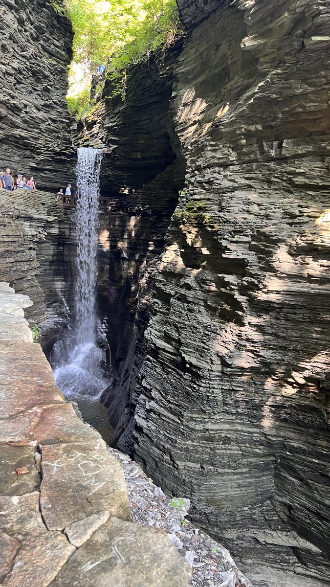 WholeEarthProv's tweet photo. π Ooohh! GORGE! π
#ScenerySunday #WEPCO
πΈ Whole Earthling Heather
πWatkins Glen State Park, New York. Gorge Trail. https://t.co/K23kbP41IJ