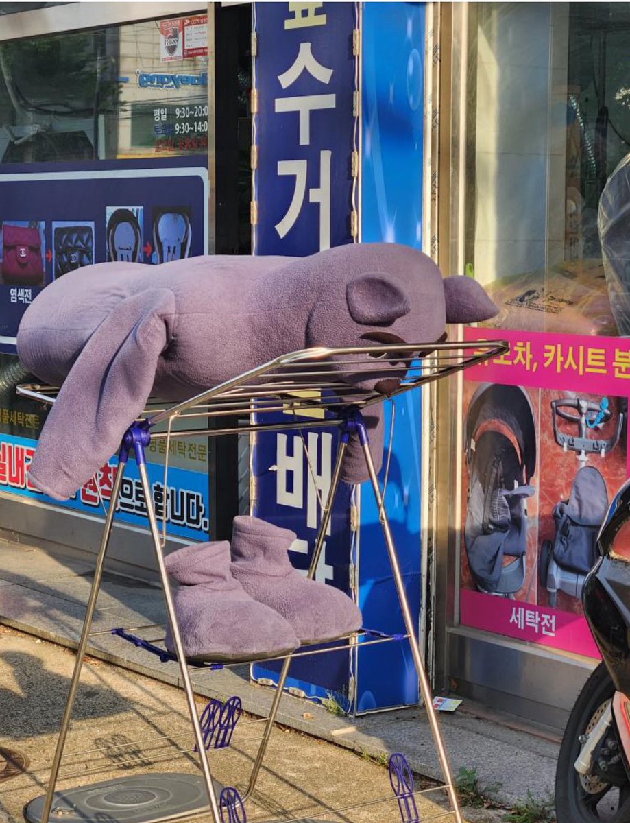 동네 세탁소에서 발견된 랜디 언제 안 웃기지